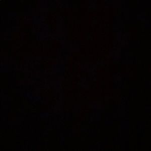 Meet your Posher, Celine